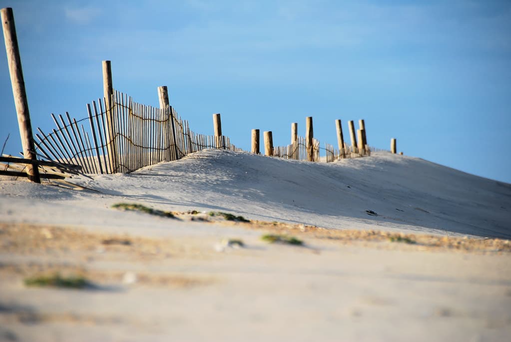 Backcountry Shore Beach — photo by <Fernando>