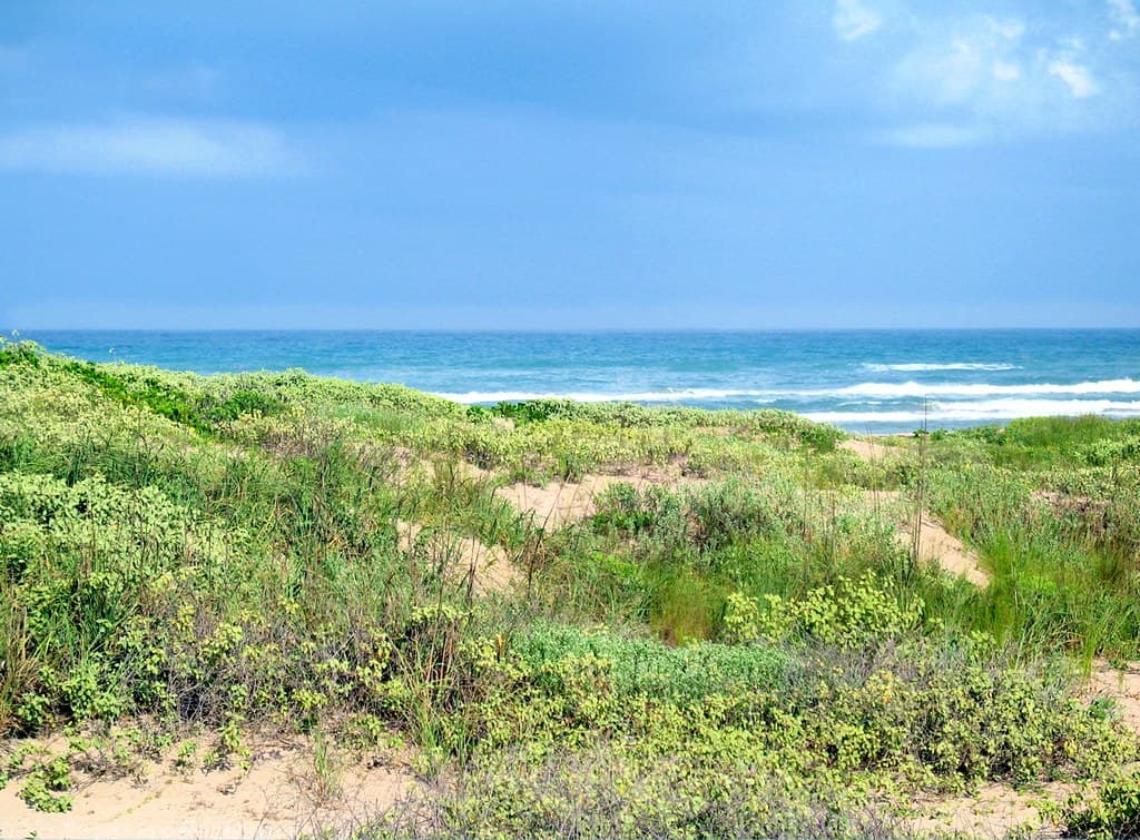 South Padre Island Beach