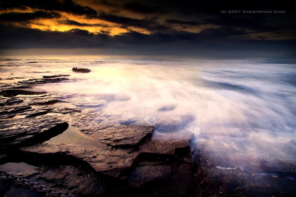 Narrabeen Head (#28)
