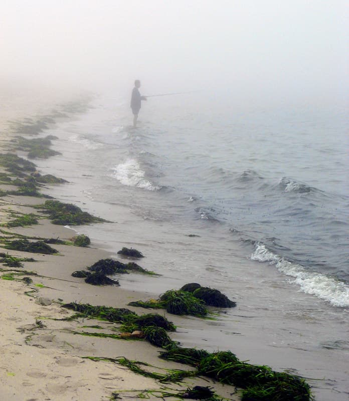 Cape Cod Fishing