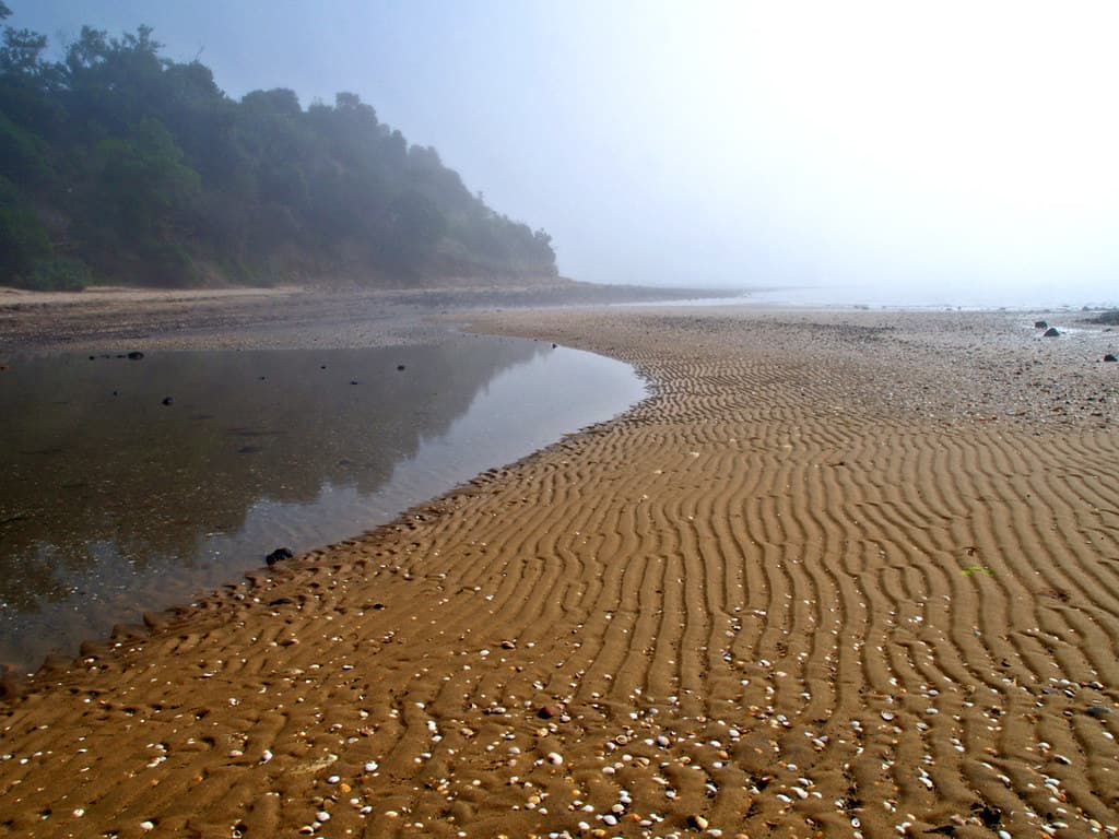 Sea Mist