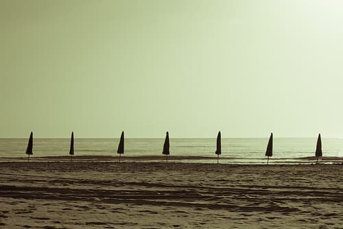 Summer Shortcoming