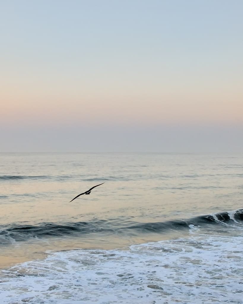 dawn breaks