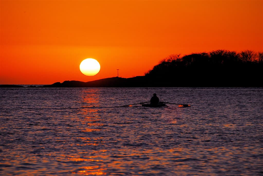Scull and sunset