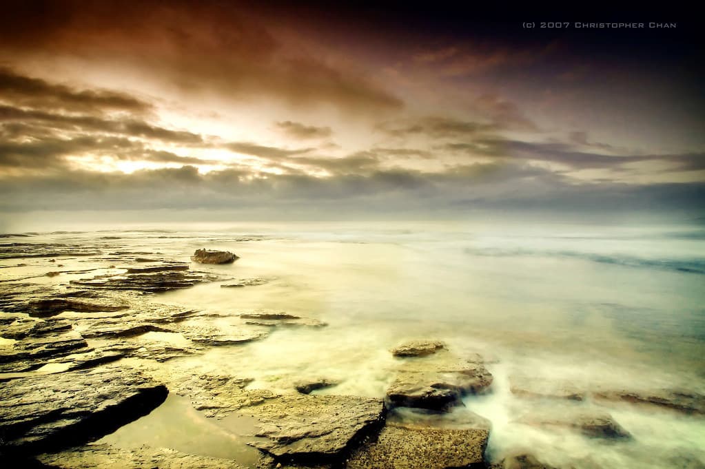Narrabeen Head (#31)