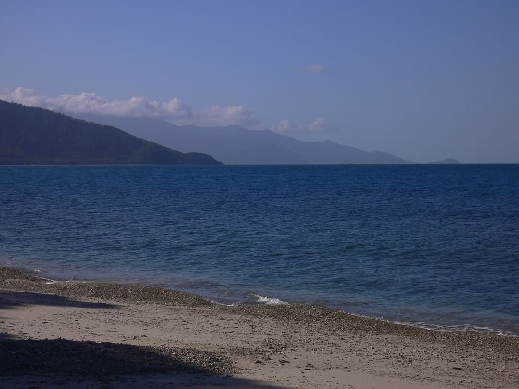 P1000593.JPG