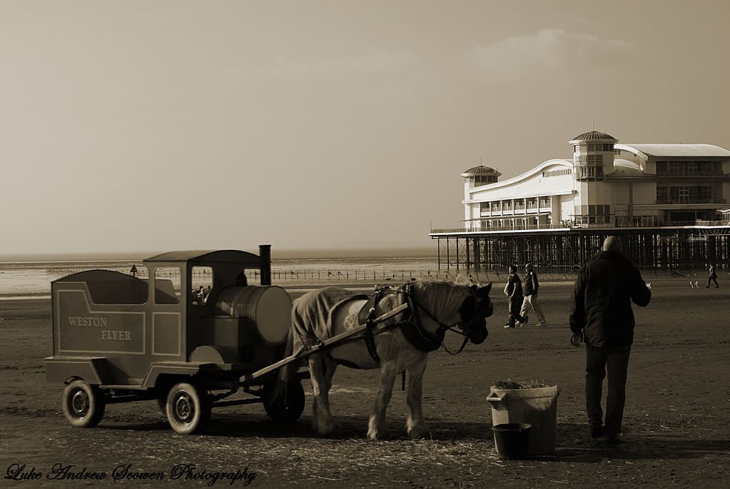 Donkey and Pier
