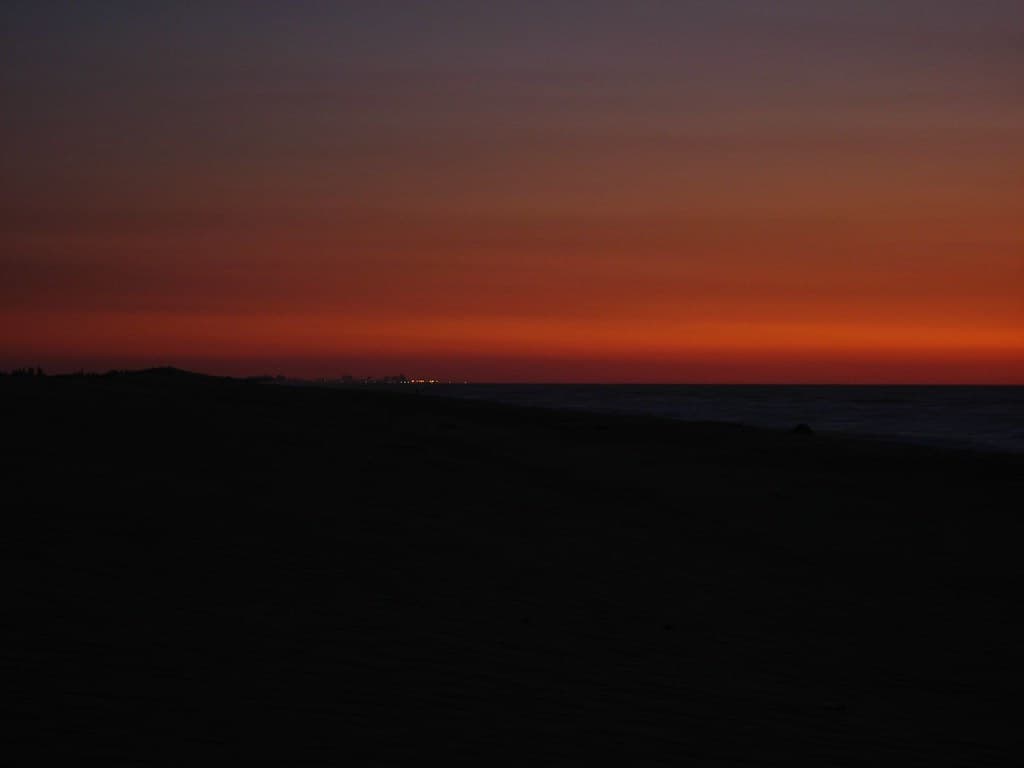 Assateague Island North Beach