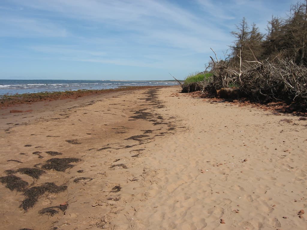 Brackley Beach — photo by palestrina55