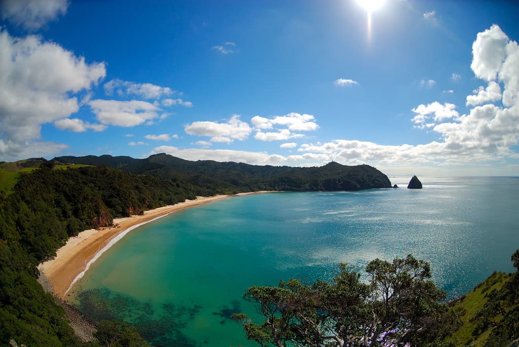 Whangapoua Beach — photo by Piotr Zurek