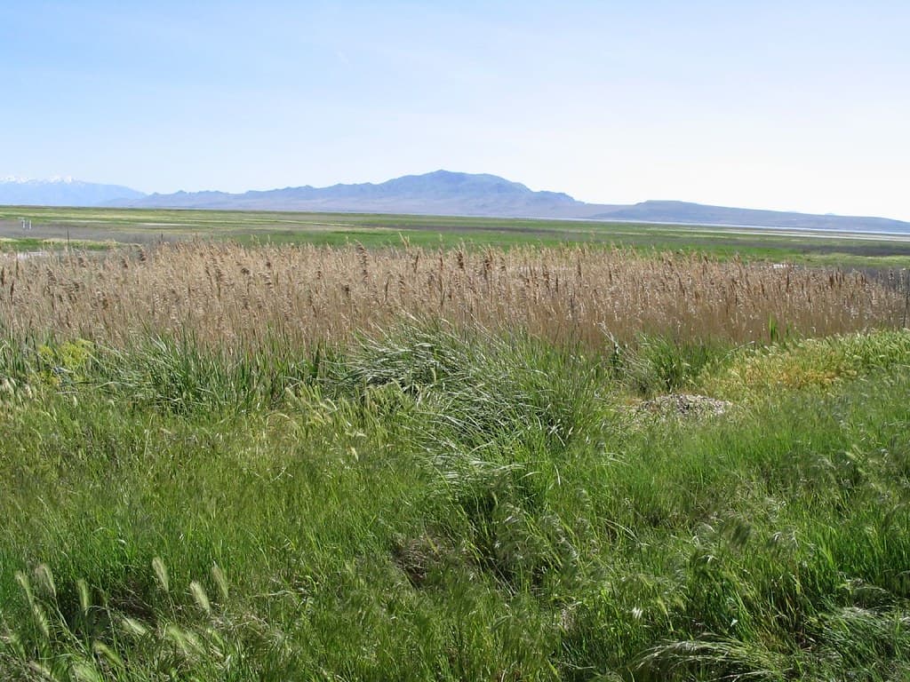 View of Antelope Island State Park, Near Clearfield, Utah