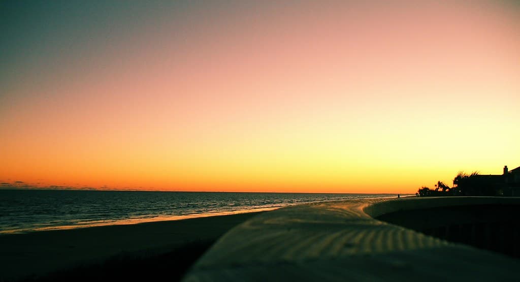 Galveston Island IV