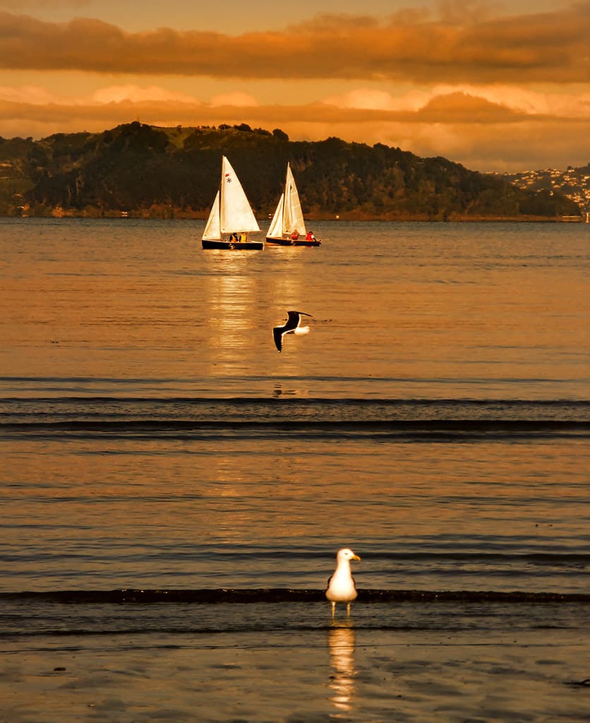 Lazy Sunday Afternoon At Petone Beach