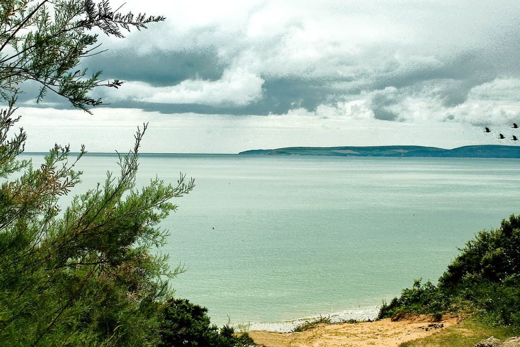 Orchard Bay