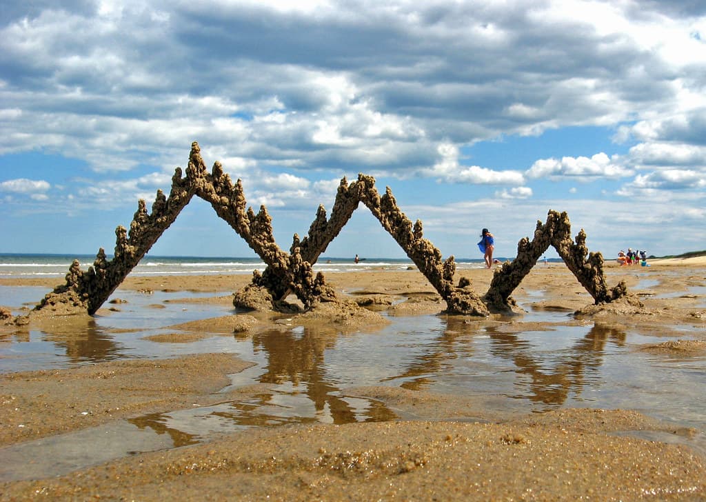 plum island #1