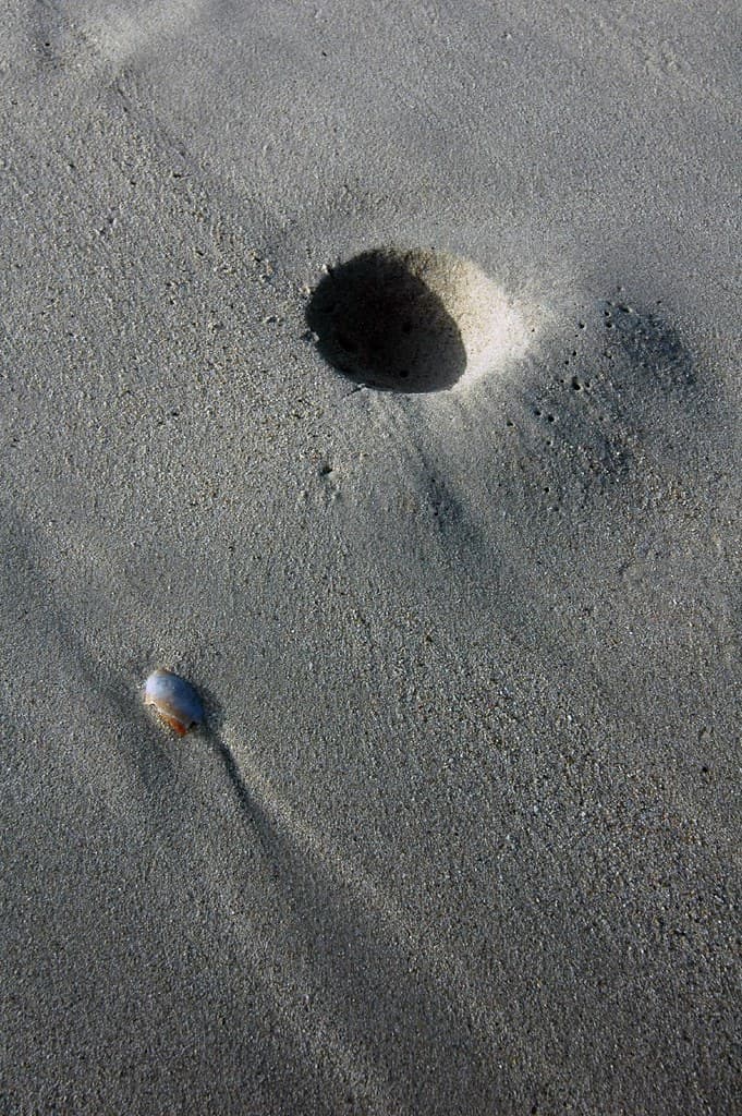 Chale Island Beach — photo by Kalense Kid
