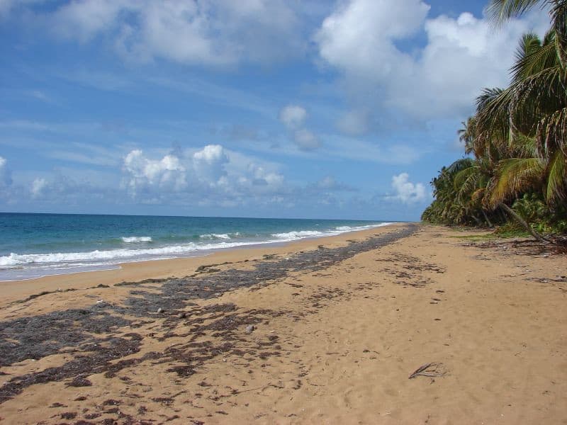 Playa Lucía — photo by gashwin