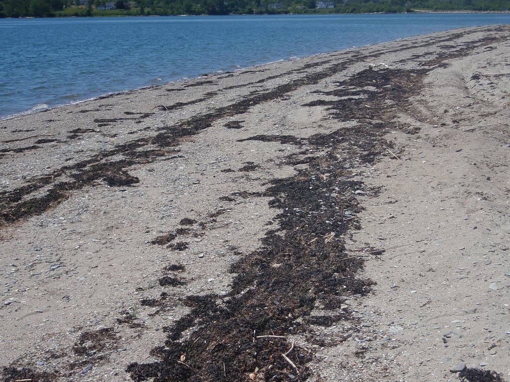 Deer Isle Causeway Beach and View