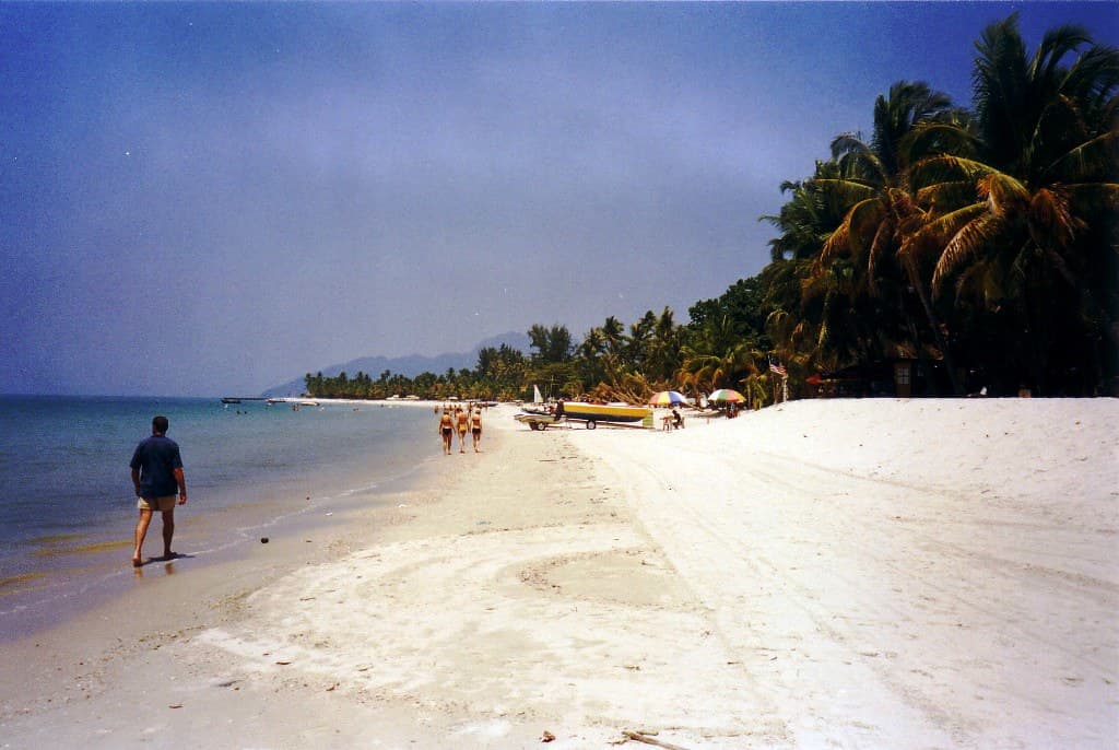 A Beach in Summer