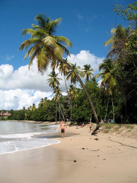 Fisherman's Cove
