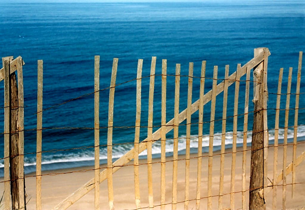 Cape Cod Fence
