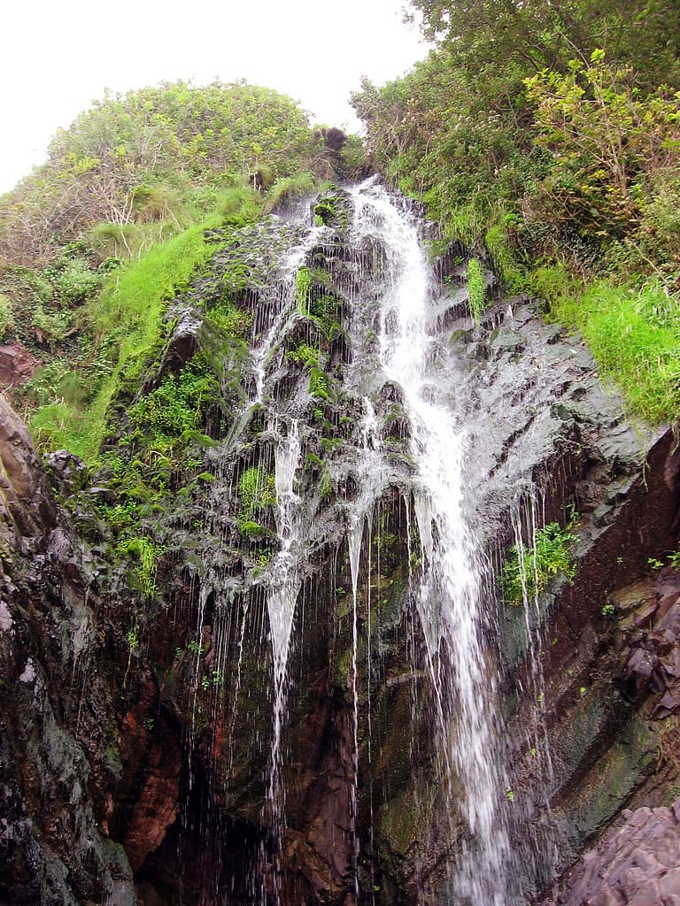 Clovelly Waterfall