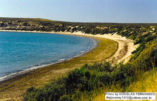 costa patagónica (patagonian coast) - Puerto Madryn, Chubut, Patagonia Argentina.