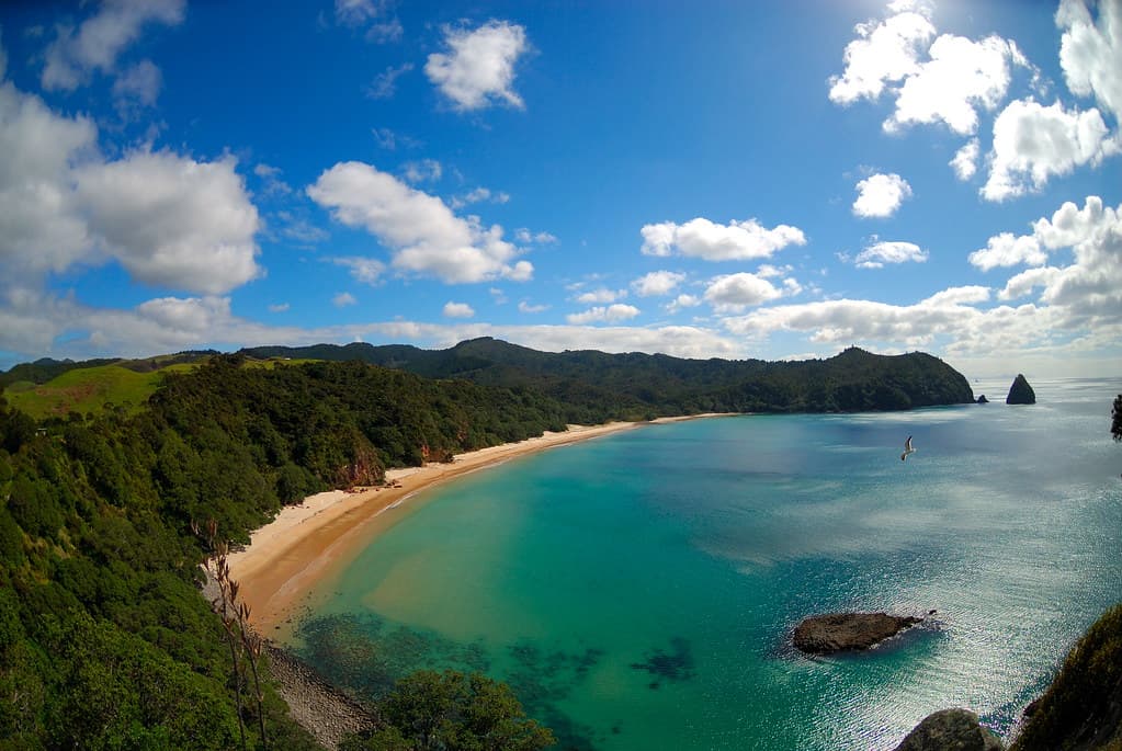 Whangapoua Beach — photo by Piotr Zurek