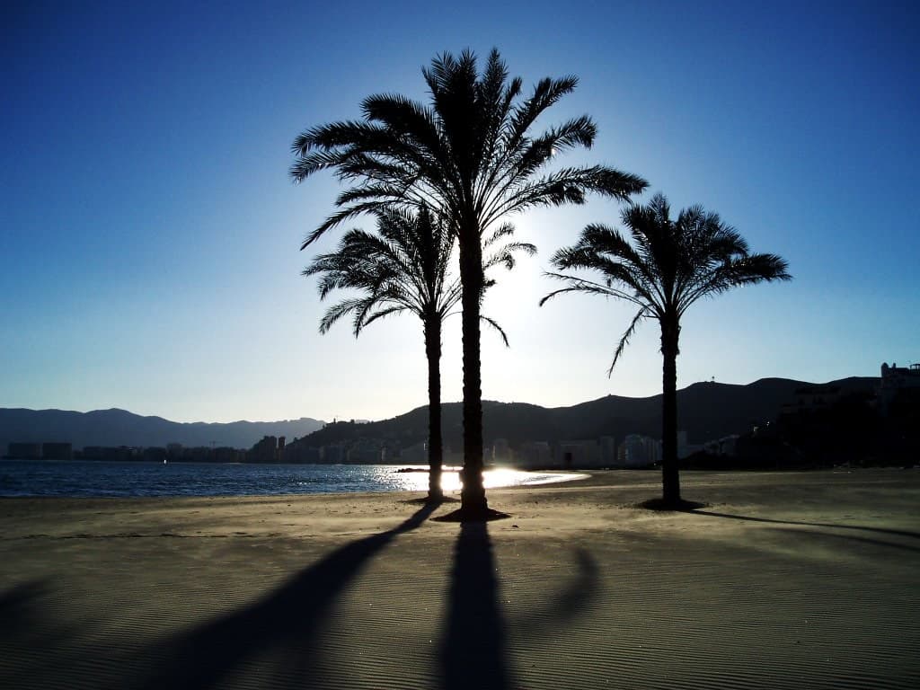 Playa del Dosel