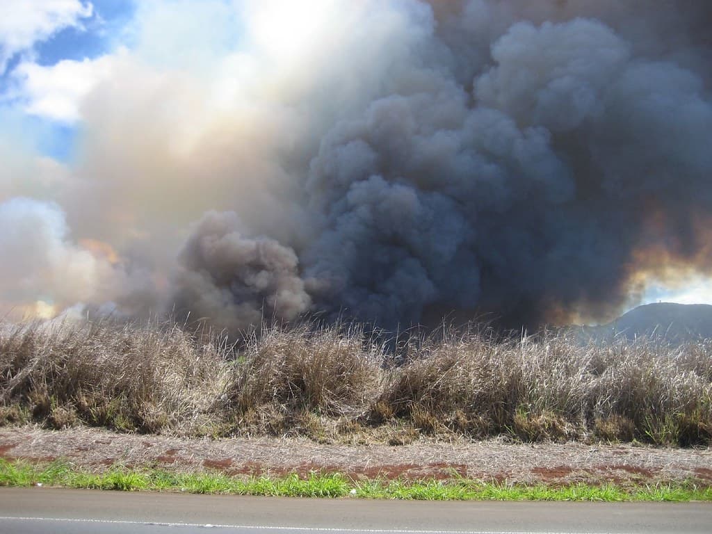 Fire at North Shore