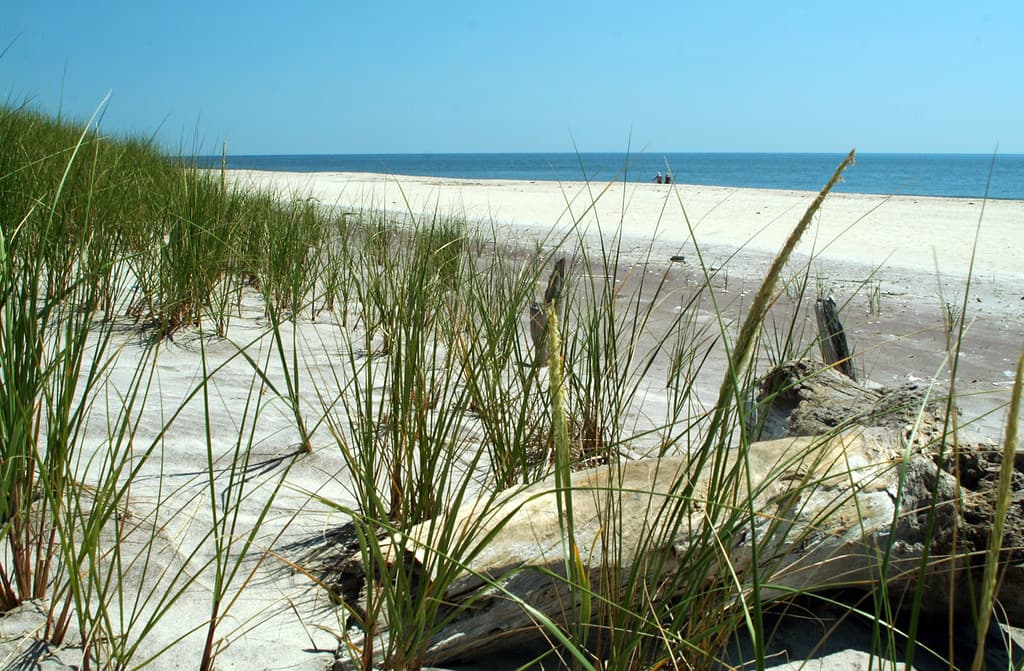 Fire Island, NY - 07, Aug - 19