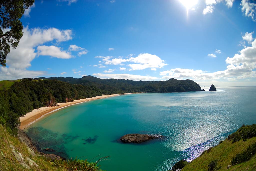 Whangapoua Beach — photo by Piotr Zurek