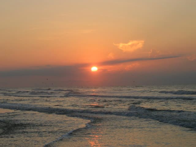 Wild Dunes Beach view 3