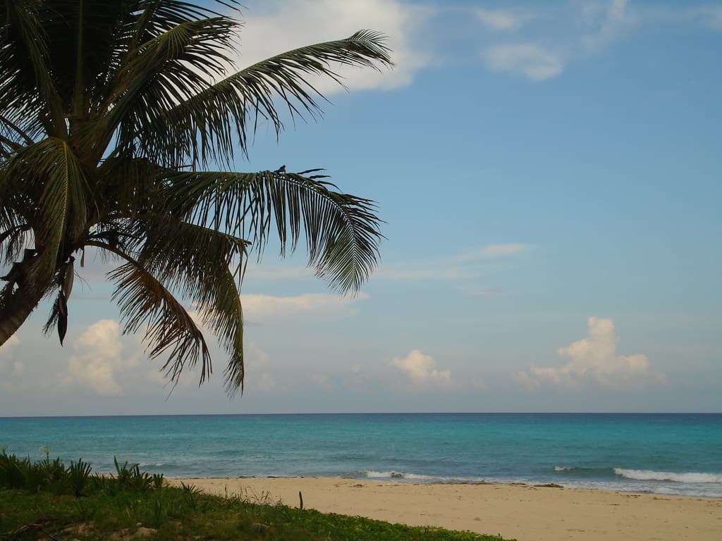 Playa El Mamón