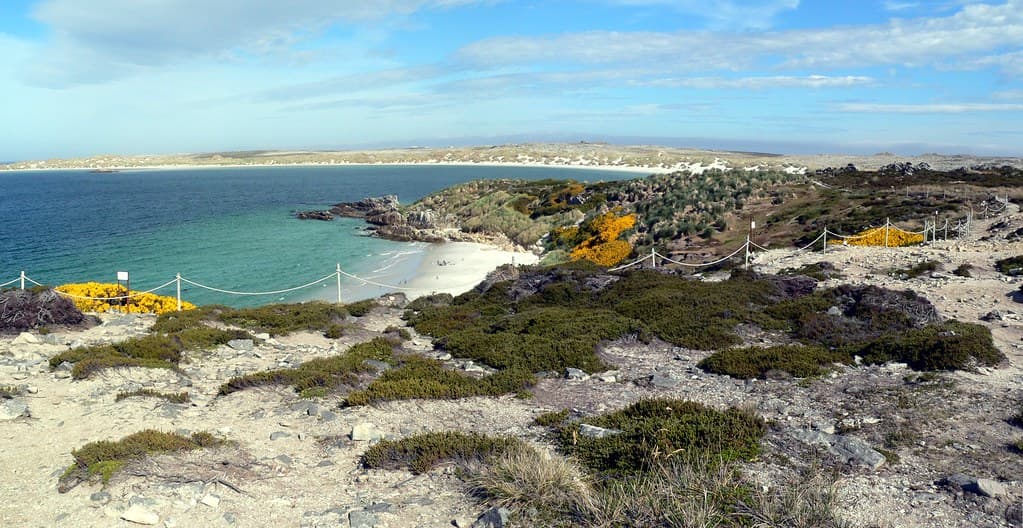 Gypsy cove