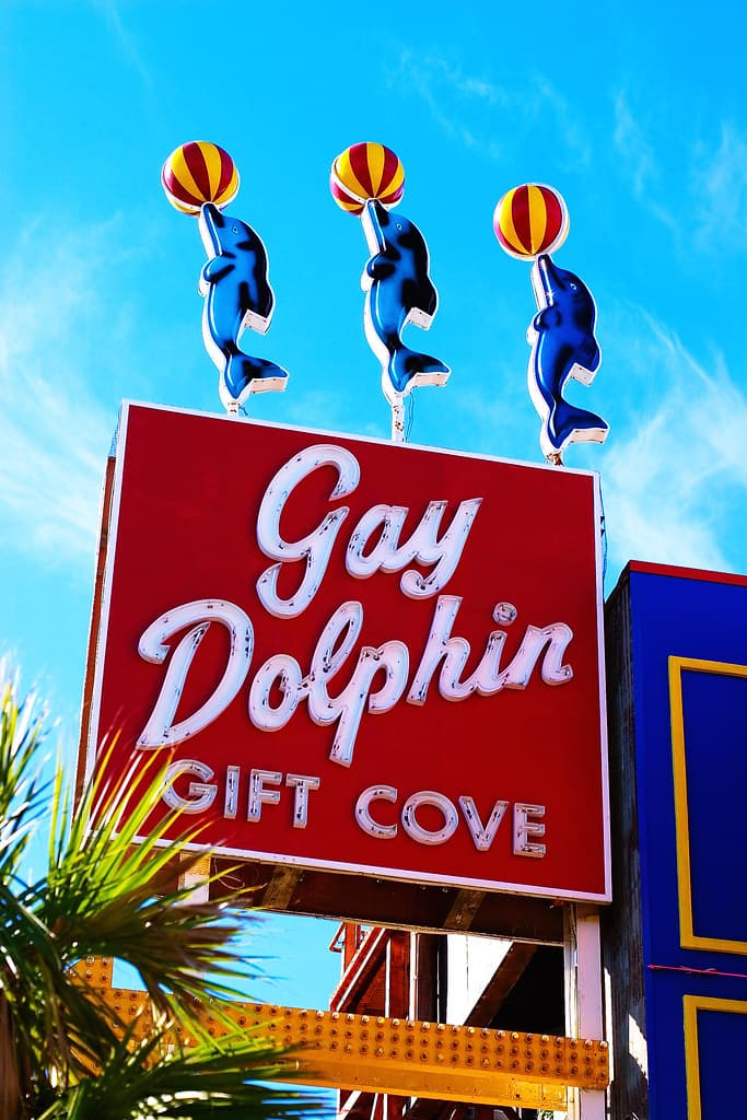 The Gay Dolphin