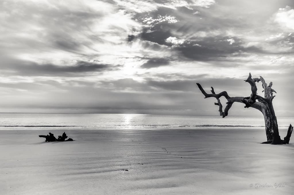 B+W Driftwood Sunrise