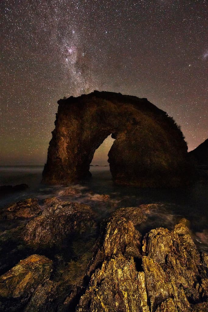 Horse Head Under the Stars