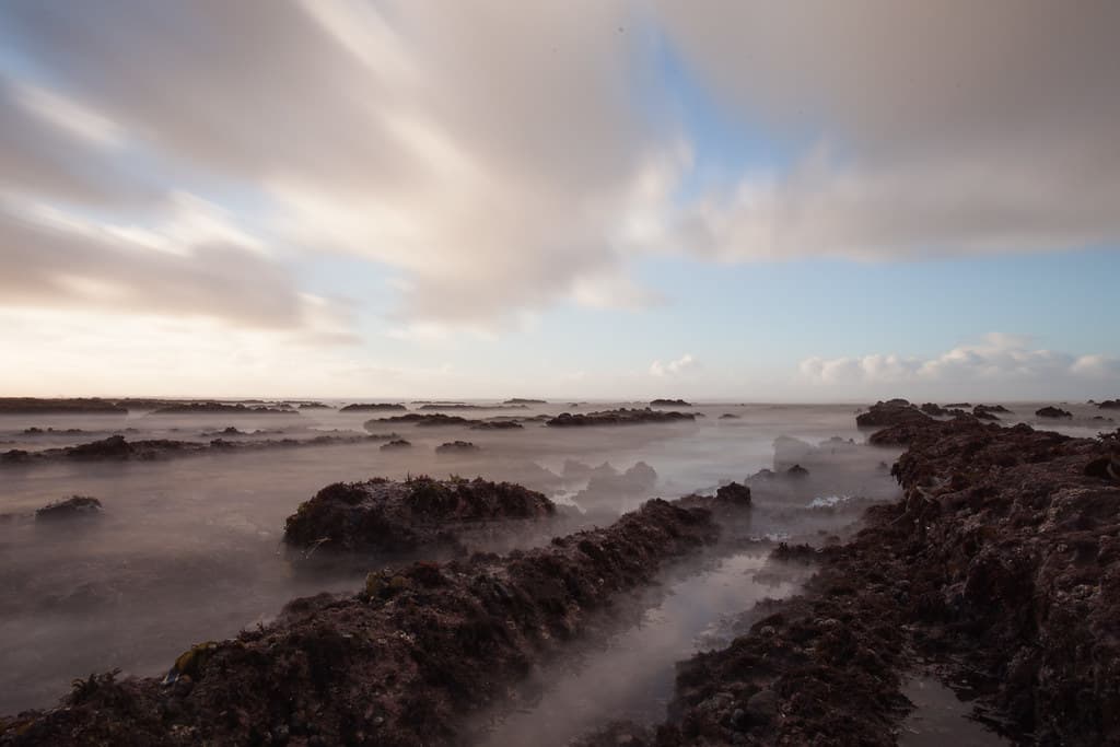 Fitzgerald Marine Reserve Beach view 2