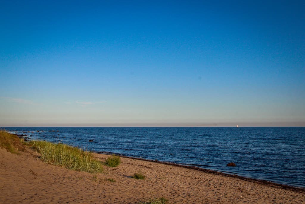 Ystad Sandskog Beach