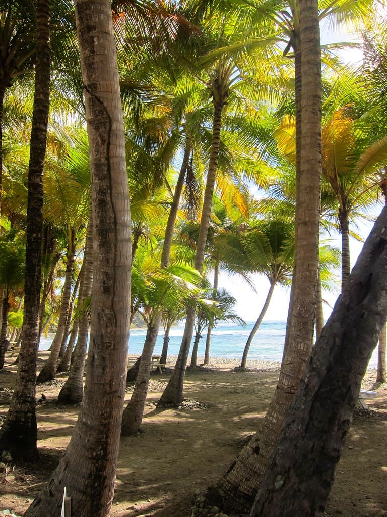 Playa Larga