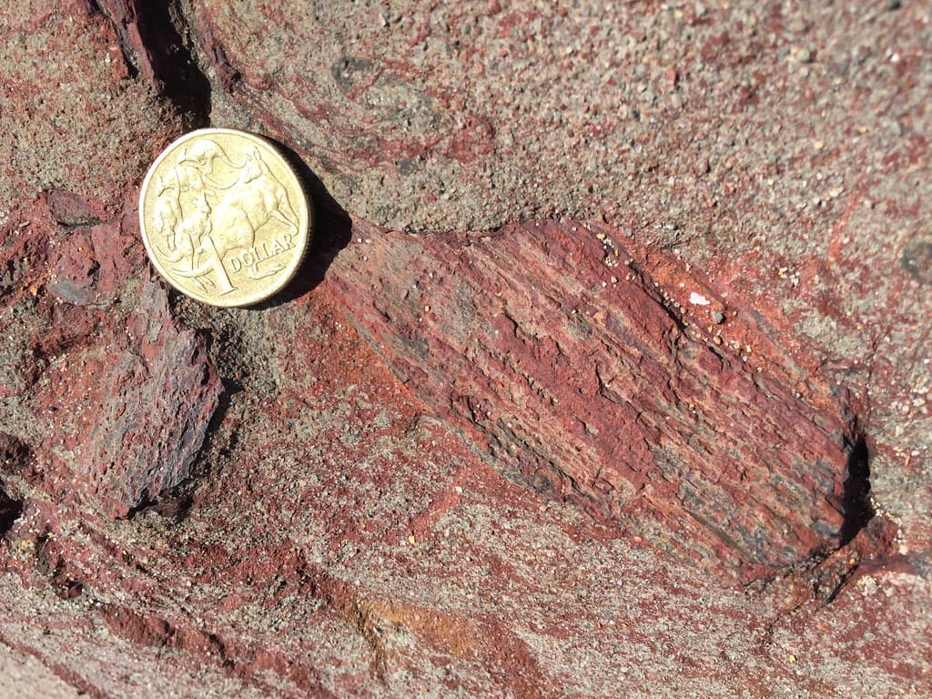Permian fossilised wood