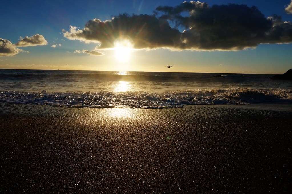 Winter Evening at Tennessee Valley Beach