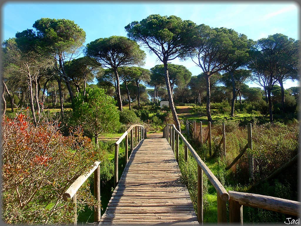 Laguna del Portil-Huelva (Spain)