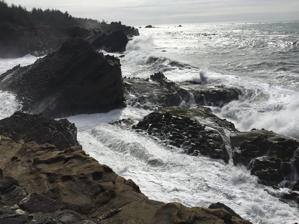 Trip to Central Oregon Coast