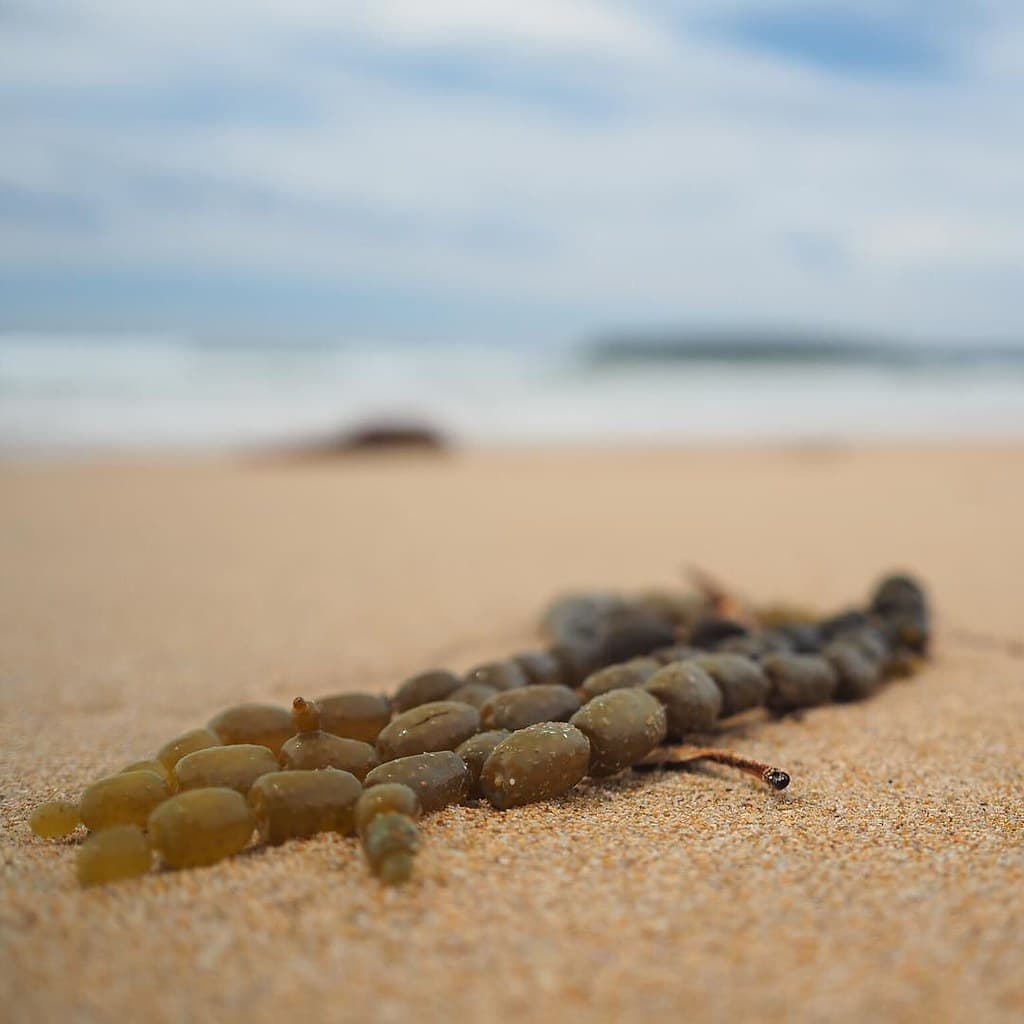 Broulee Beach view 2