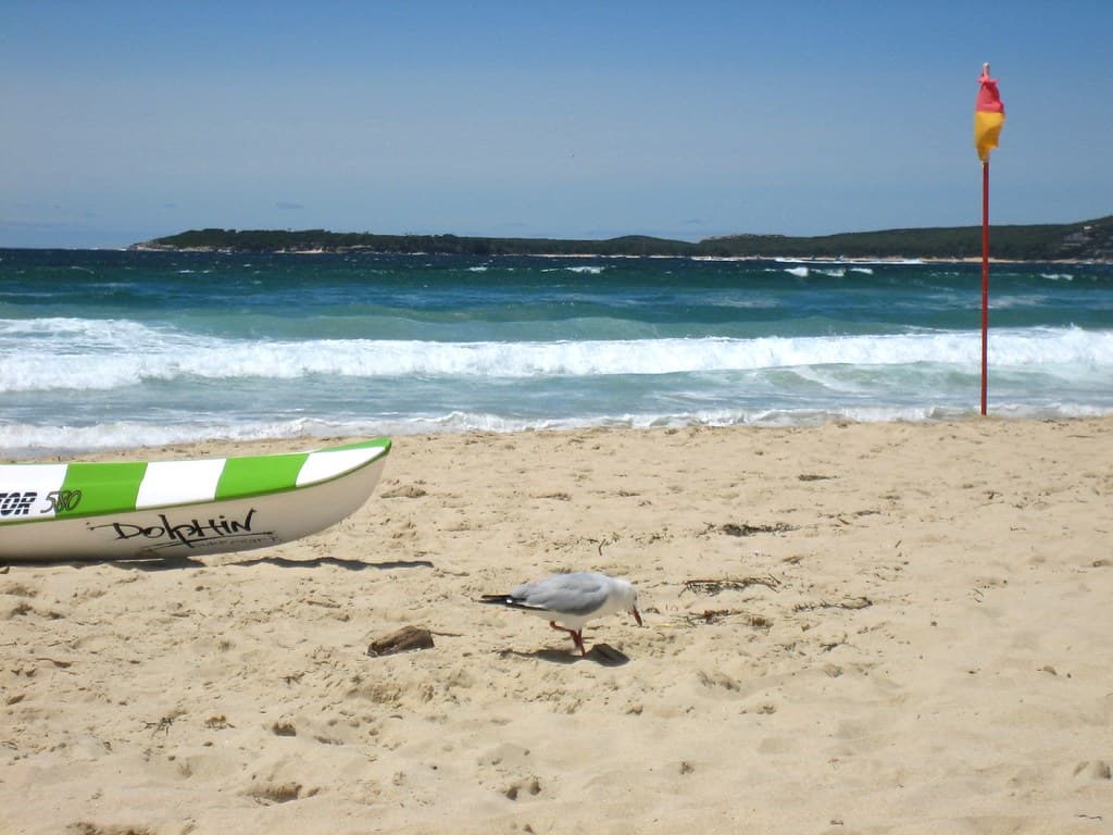 Beach Scene