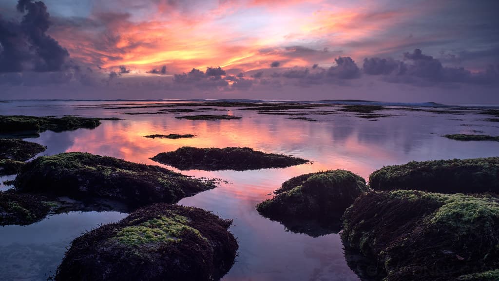 Blue Point Sunset