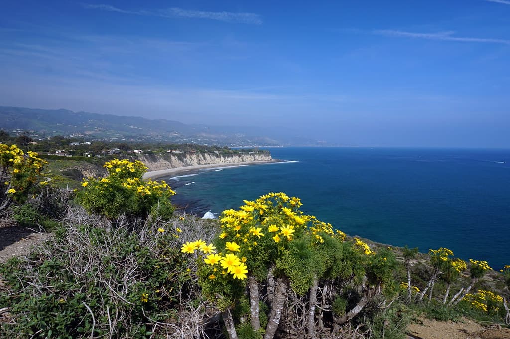 Dume Beach, Point Dume State Park, Mailbu, California