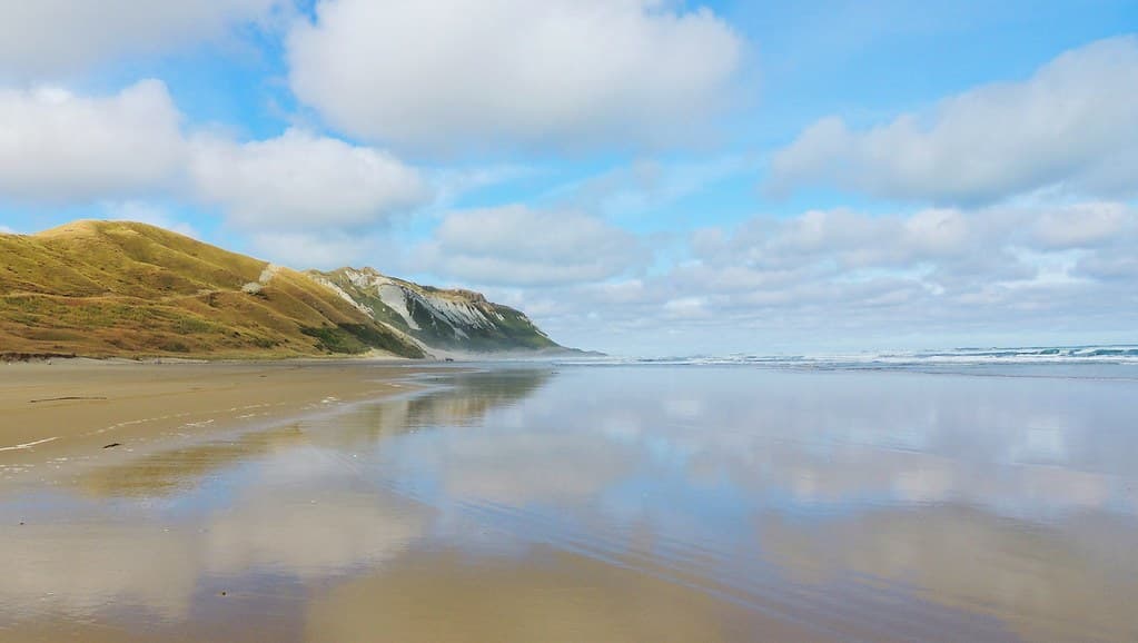 Cape Turnagain, Southern Hawkes Bay, NZ